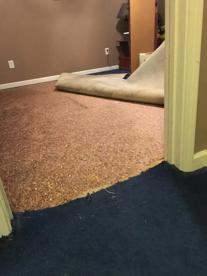 Carpet pad removal revealing water damage during Drying & Dehumidification in Hiawatha