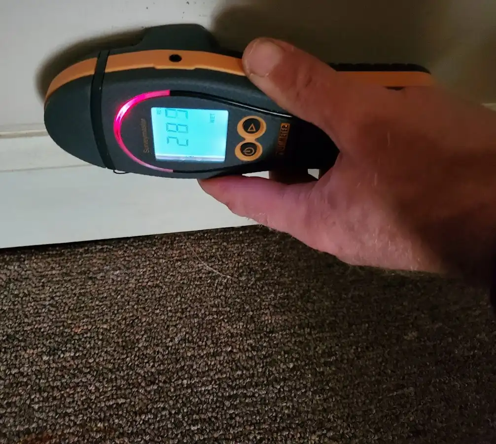 Moisture detection at baseboard during Sewage Cleanup & Sanitation in Hiawatha